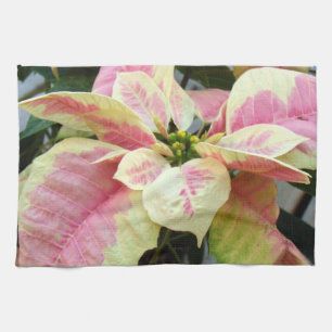 Rosa Sahnepoinsettia Handtuch
