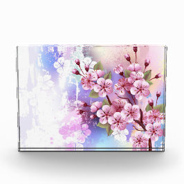 Rosa Sakura auf dem Hintergrund der Malerei Fotoblock