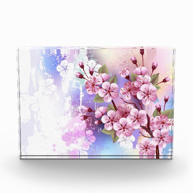 Rosa Sakura auf dem Hintergrund der Malerei Fotoblock (Vorderseite)