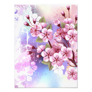 Rosa Sakura auf dem Hintergrund der Malerei Fotodruck