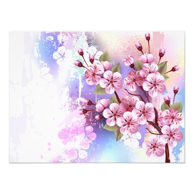 Rosa Sakura auf dem Hintergrund der Malerei Fotodruck (Vorne)