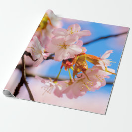 Rosa Sakura-Blume an einem warmen Frühlingstag Geschenkpapier