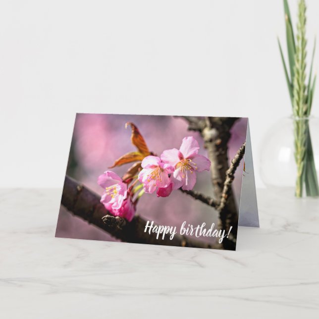 Rosa Sakura Blume auf einem Baum im Springtime Karte (Vorderseite)