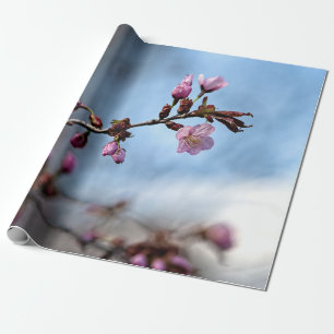 Rosa Sakura-Blume, Blauer Himmel, weiße Wolke Geschenkpapier