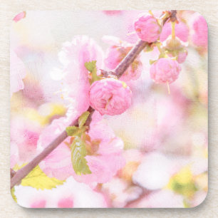 Rosa Sakura-Blume - Blüte der japanischen Kirsche Getränkeuntersetzer