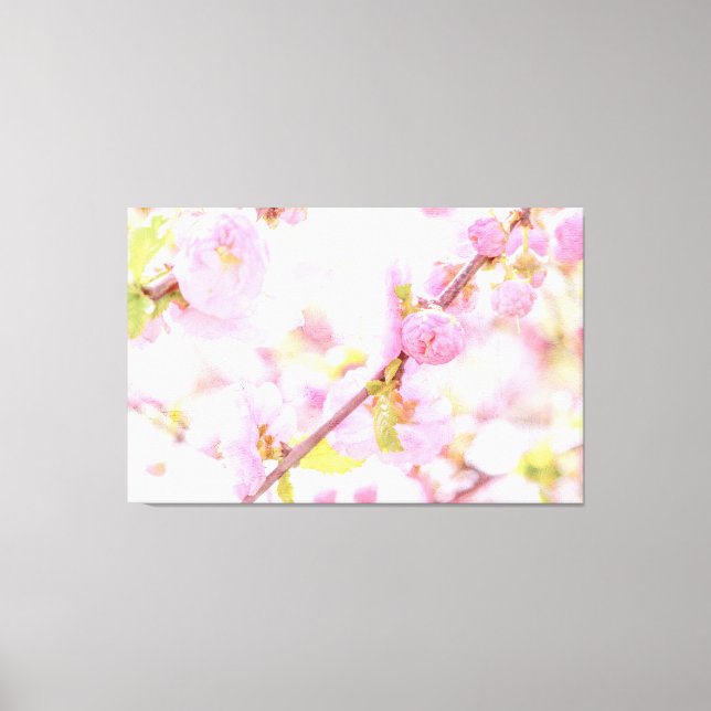 Rosa Sakura-Blume - Blüte der japanischen Kirsche Leinwanddruck (Vorderseite)