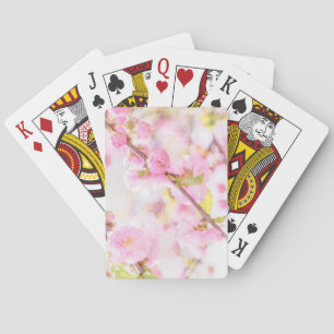 Rosa Sakura-Blume - Blüte der japanischen Kirsche Spielkarten
