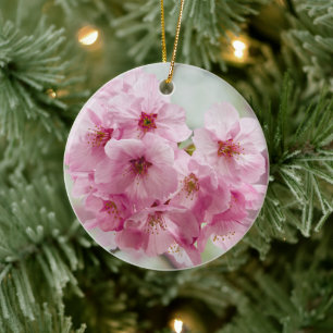 Rosa Sakura-Blüten Sanfter Frühling Keramik Ornament