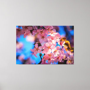 Rosa Sakura Garland, Blauer Himmel Leinwanddruck