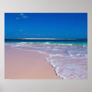 Rosa Sandstrand in Conch Bay, Cat Island, Poster