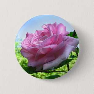 Rosa Schaltfläche Button