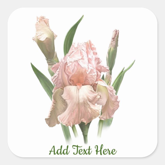 Rosa Scham Iris Quadratischer Aufkleber (Vorderseite)
