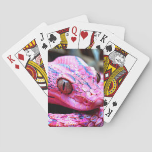 Rosa Schlange Spielkarten
