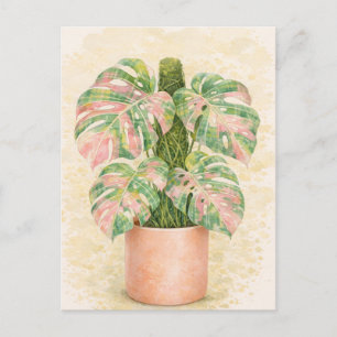 rosa Schottenkaro Monstera-Blatt Schottland Postkarte