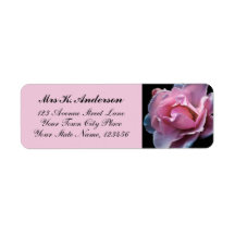 Rosa Schwarze Rose Foto Personalisiert Stationenna