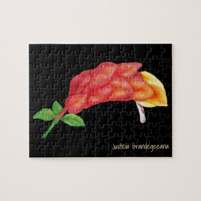 Rosa Shrimp Pflanze Blume Illustration Puzzle (Horizontal)