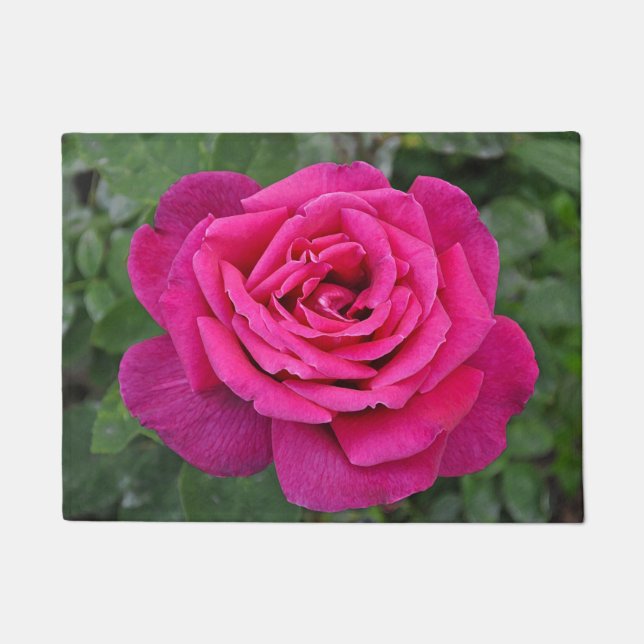 Rosa Single Fußmatte (Vorderseite)