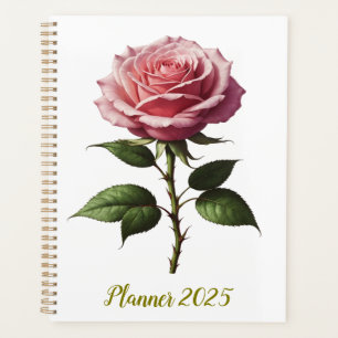 Rosa Single Planer