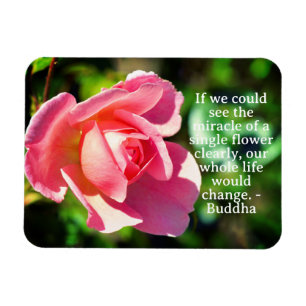 Rosa Single Rose Motivierend Zitat Magnet