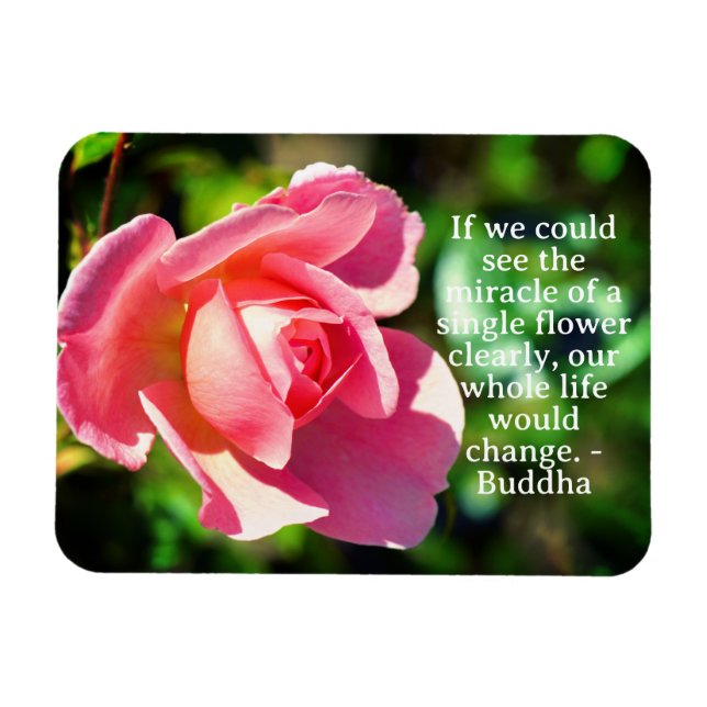 Rosa Single Rose Motivierend Zitat Magnet (Horizontal)