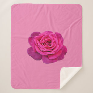 Rosa Single Rose Sherpadecke