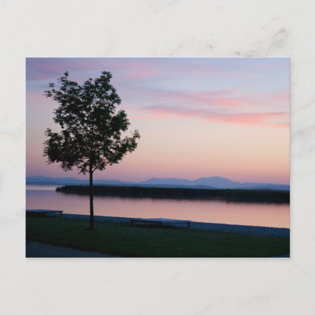 Rosa Sonnenuntergang Postkarte (Vorderseite)