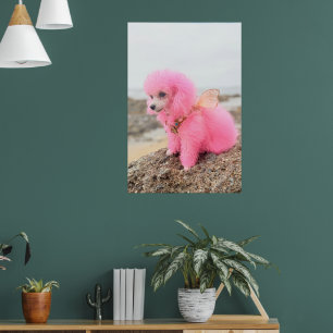 ROSA SPIELZEUG-PUDDEL AM STRAND POSTER