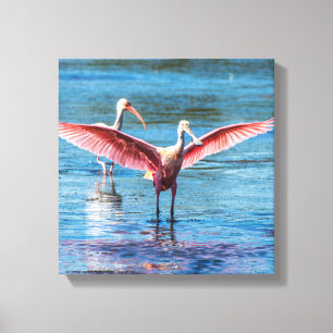 Rosa Spoonbill 12" X12" wickelte Leinwand ein
