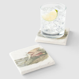 Rosa Spoonbill durch Audubon Steinuntersetzer