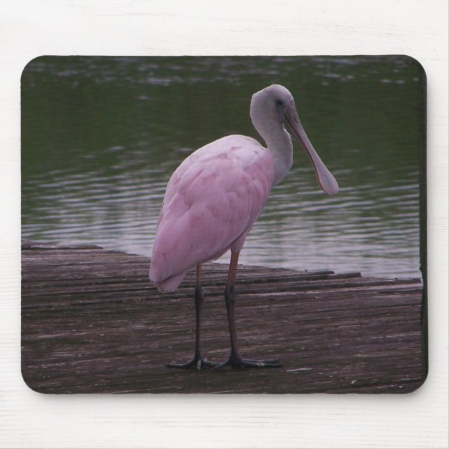 Rosa Spoonbill Mousepad (Vorne)