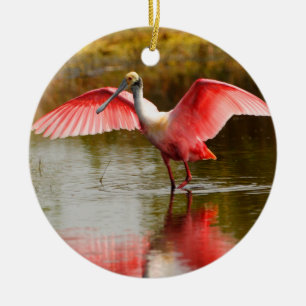 rosa Spoonbill und Reflexion Keramikornament