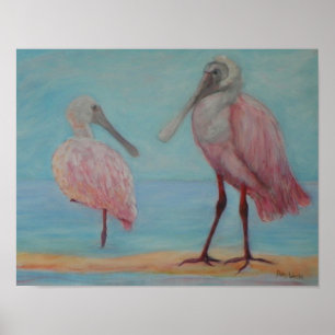 ROSA SPOONBILLS IN FLORIDA-Plakat Poster