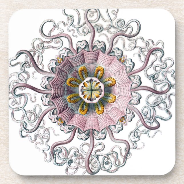 Rosa Starfish Untersetzer (Vorderseite)