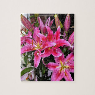Rosa Stargazer-Lilie Puzzle
