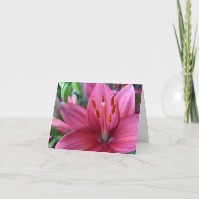 Rosa Stargazer Lilly im Garten Feiertagskarte (Vorderseite)