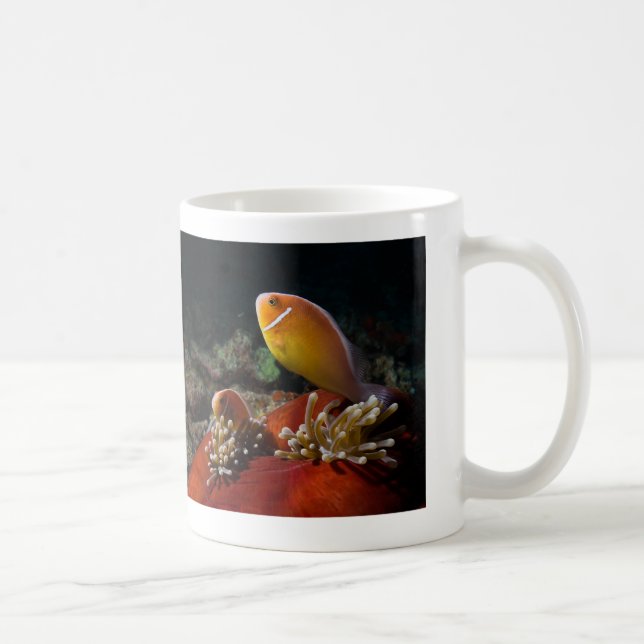 Rosa Stinktier Clownfish Kaffee-Tasse Tasse (Rechts)