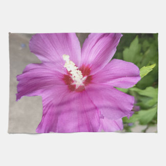 Rosa Stockrosen-Blumen-Küchenhandtuch Geschirrtuch