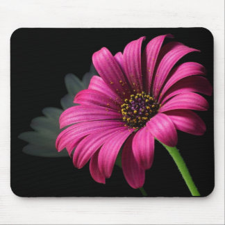 ROSA STUDIO-GÄNSEBLÜMCHEN MOUSEPAD