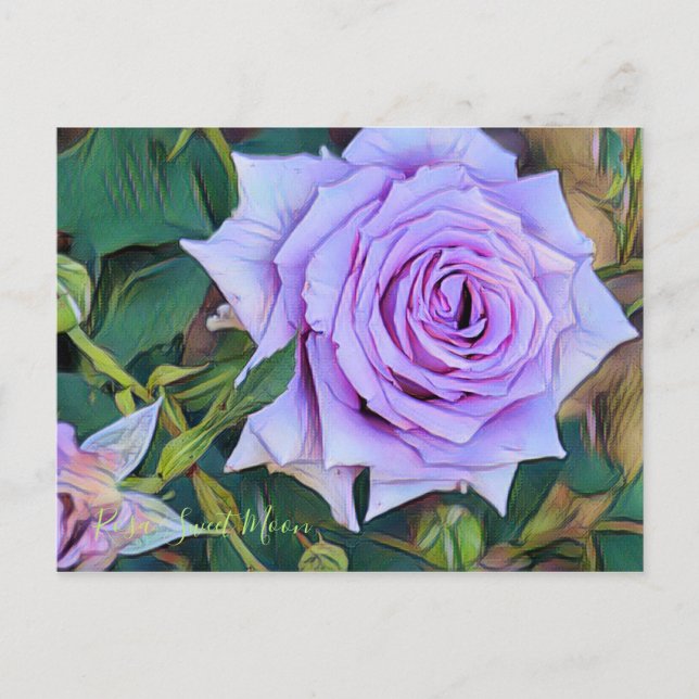 Rosa Sweet Moon [Postcard] Postkarte (Vorderseite)