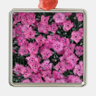 Rosa Sweet William Blumen Ornament Aus Metall