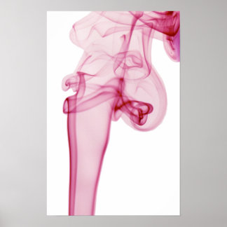 Rosa Swirl Poster