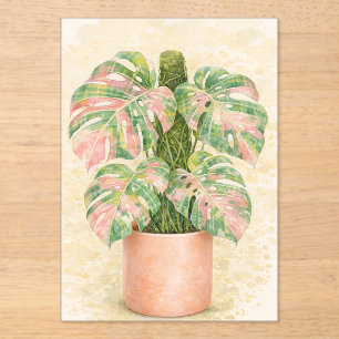 rosa Tartan Monstera-Blatt Schottisch Schottland Acryleinladungen