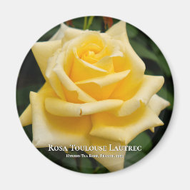Rosa Toulouse Lautrec Magnet