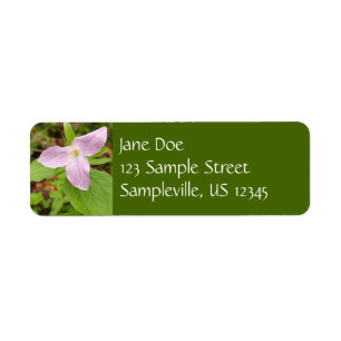 Rosa Trillium Blume