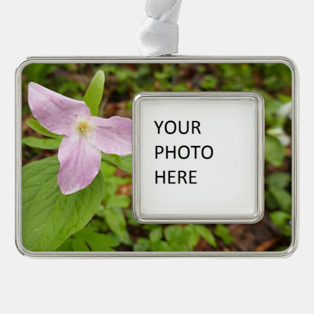 Rosa Trillium Blume Rahmen-Ornament Silber (Vorderseite)