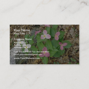 Rosa Trilliums, Quebec, Kanada. Blumen Visitenkarte
