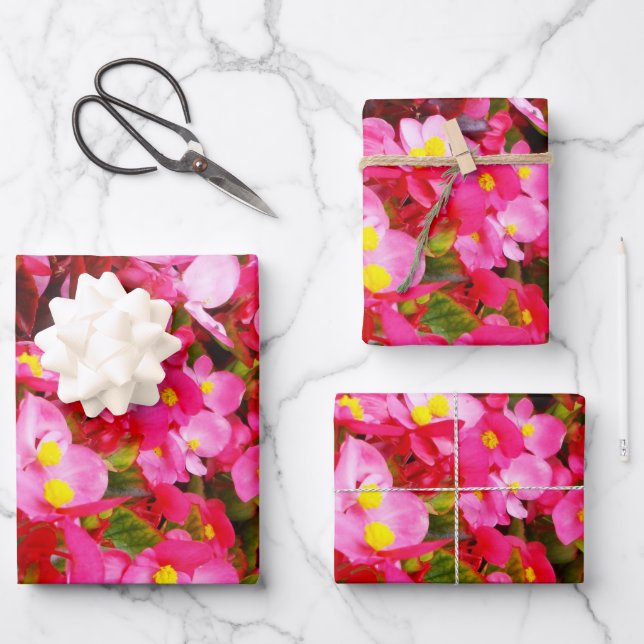 Rosa Tropfen vom Frühling, Begonien, Geschenkpapier Set (Vorderseite)