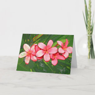Rosa tropische Frangipani-Kunst Feiertagskarte