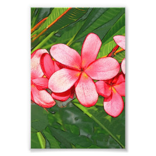 Rosa tropische Frangipani-Kunst Fotodruck