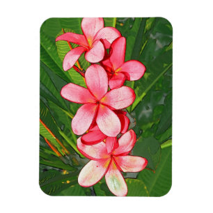 Rosa tropische Frangipani-Kunst Magnet